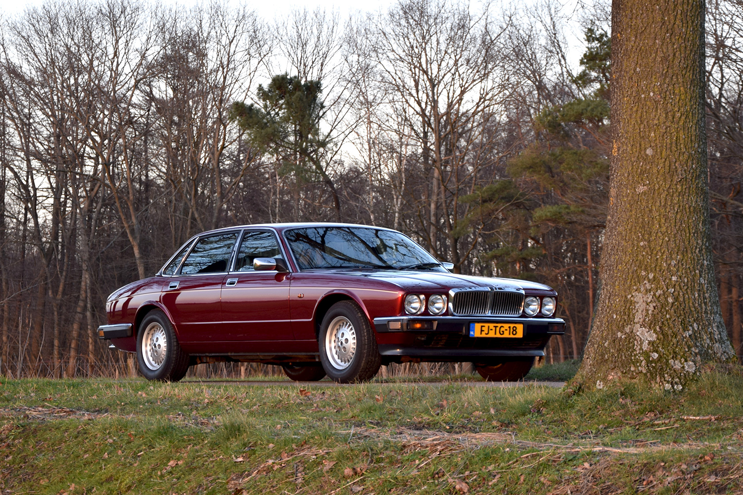 Jaguar xj6 xj40