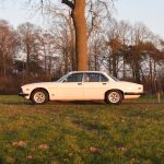 Jaguar XJ S3 4.2 Automatic – Tudor White – 88.444mls – Y1982