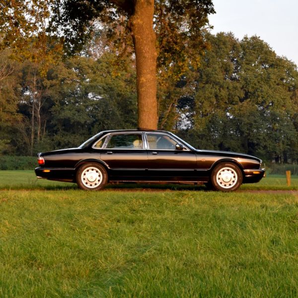 【レア】オランダ代表 VAN DER VAART 2025年最新】Yahoo!オークション -オランダ代表(トレーディング